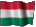 Magyar zászló.